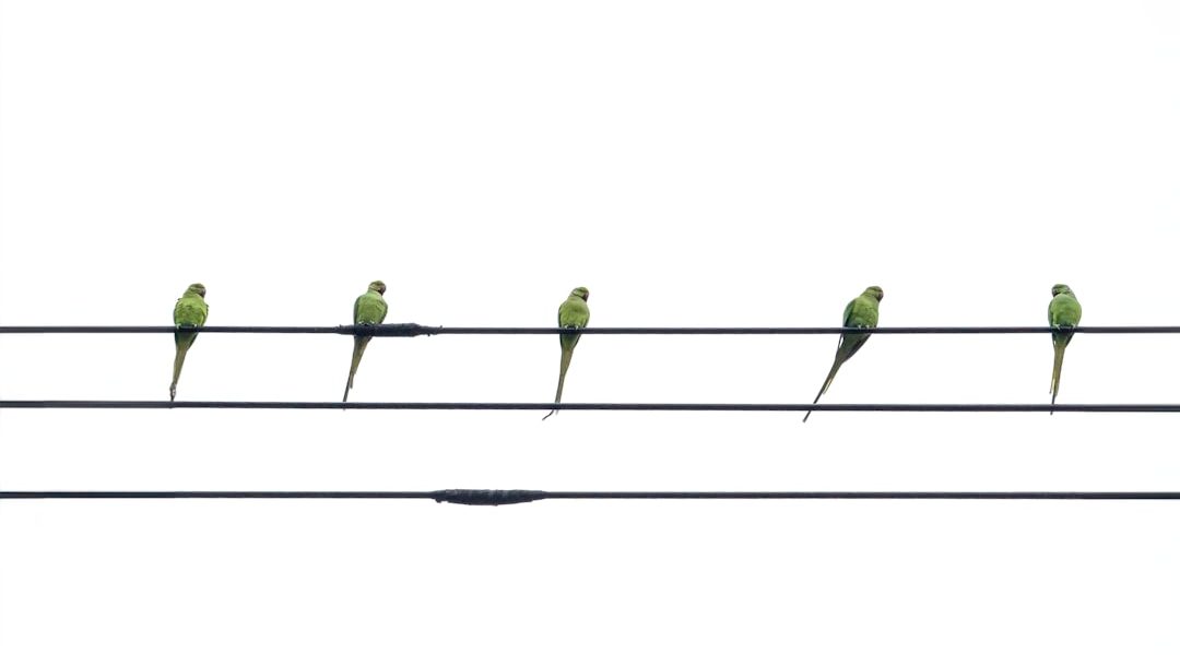 Stawki audytu cyberbezpieczeństwa 1 Photo Bar graph