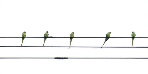 Stawki audytu cyberbezpieczeństwa 23 Photo Bar graph