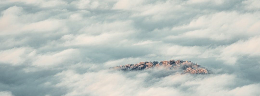 Photo Cloud migration consulting