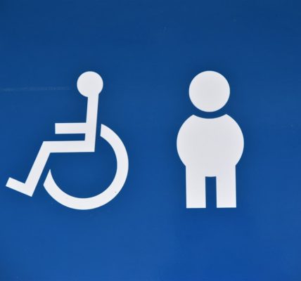 Photo Accessibility consulting web