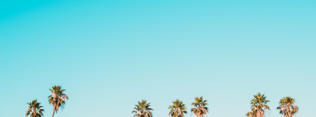 Stawki konsultacji DevOps 21 Photo DevOps consulting rates