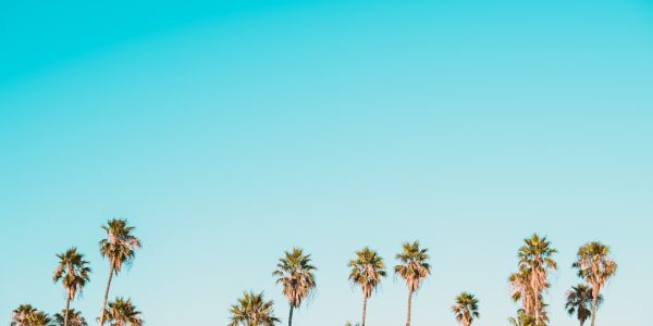 Stawki konsultacji DevOps 1 Photo DevOps consulting rates