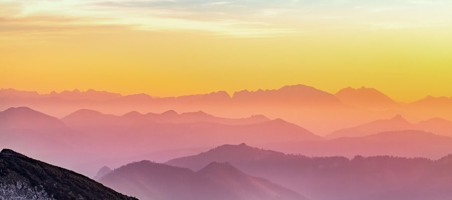 Photo Machine learning consulting