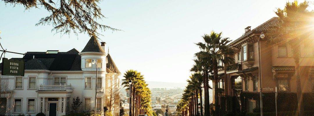 Photo optimization consulting