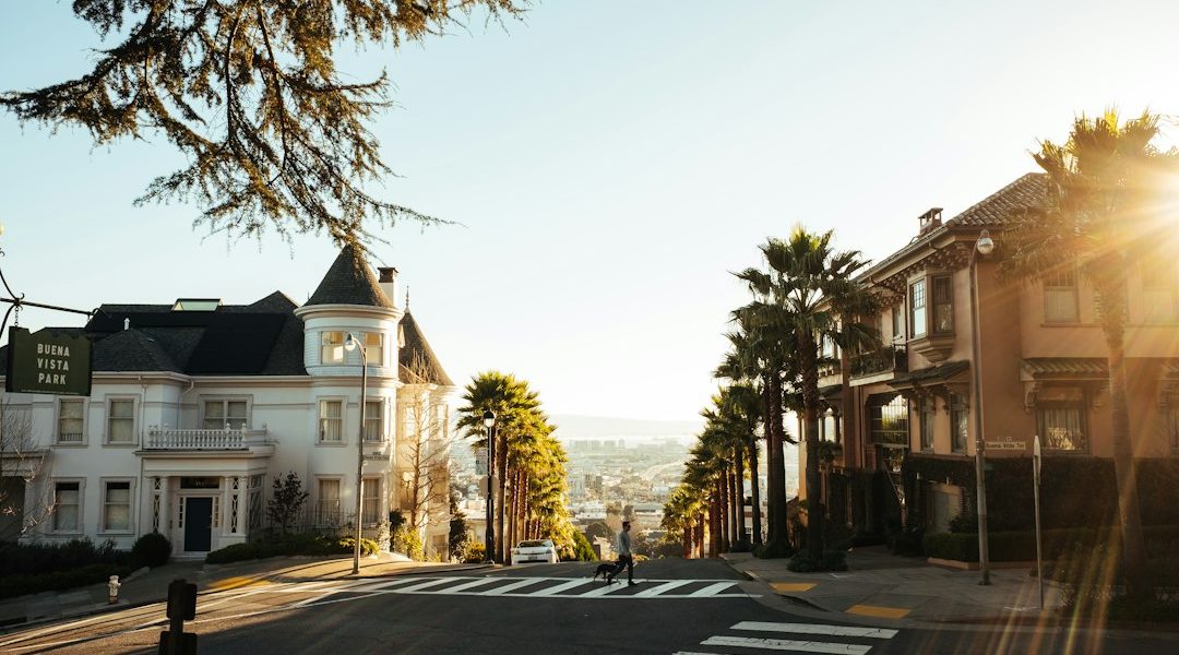 Photo optimization consulting