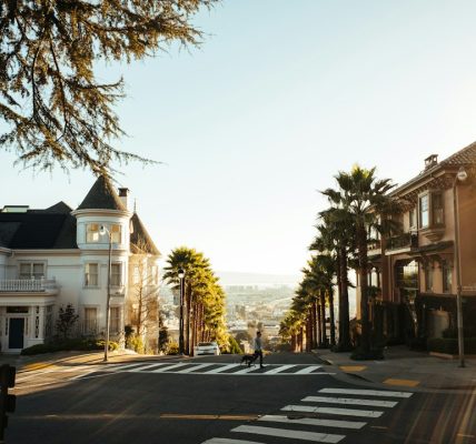 Photo optimization consulting